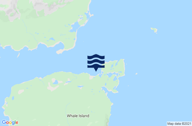 Mapa da tábua de marés em Fox Bay (Whale Island), United States
