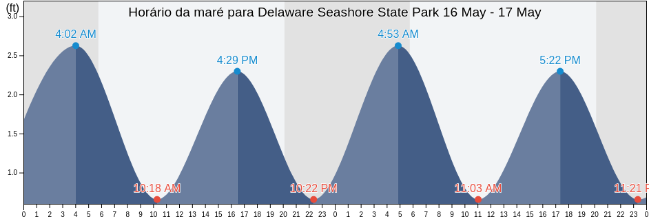 Tabua de mare em Delaware Seashore State Park, Sussex County, Delaware, United States