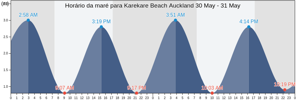 Tabua de mare em Karekare Beach Auckland, Auckland, Auckland, New Zealand