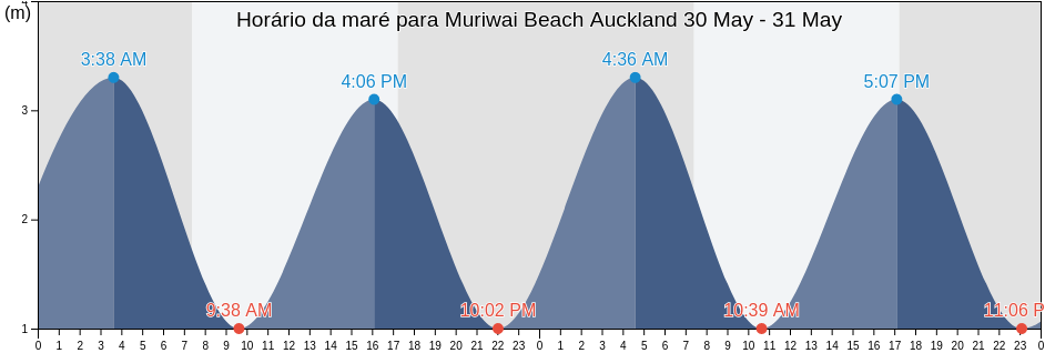 Tabua de mare em Muriwai Beach Auckland, Auckland, Auckland, New Zealand