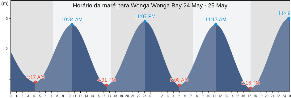 Tabua de mare em Wonga Wonga Bay, Auckland, New Zealand